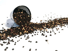 Load image into Gallery viewer, Black Tea Collection